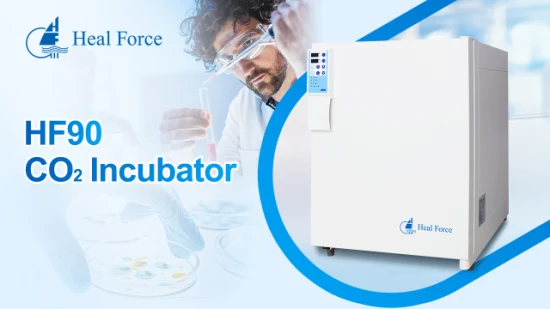 Cell Cultrue Hf90 Medfuture Hf100 Filtro Biologia Automatica Termostato Incubatore a CO2