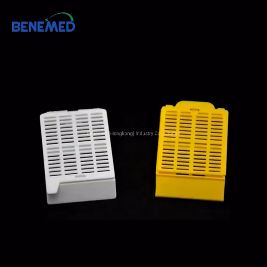 Materiali di consumo per cassette di inclusione di tessuti al microscopio